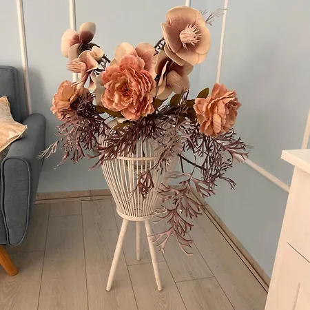 Dreams * بورتو سيساريو