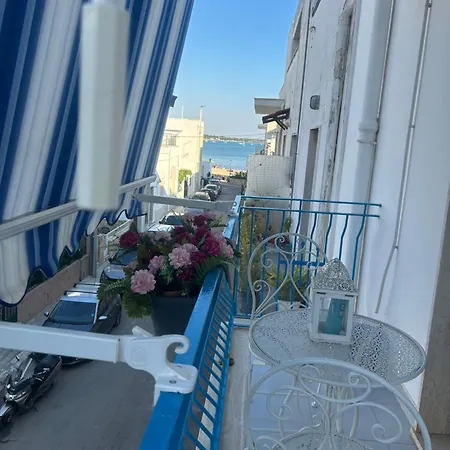 Dreams بورتو سيساريو