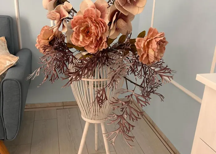 Dreams * Porto Cesareo